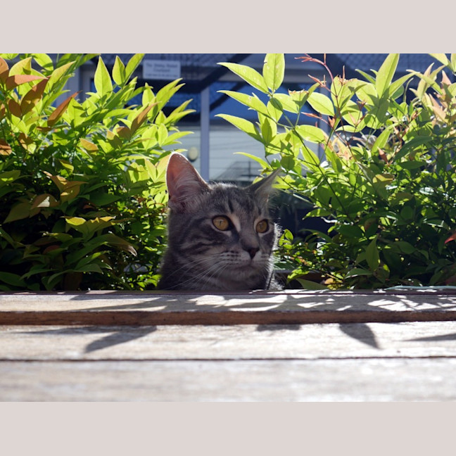 Photo of Jeremy Stk012743