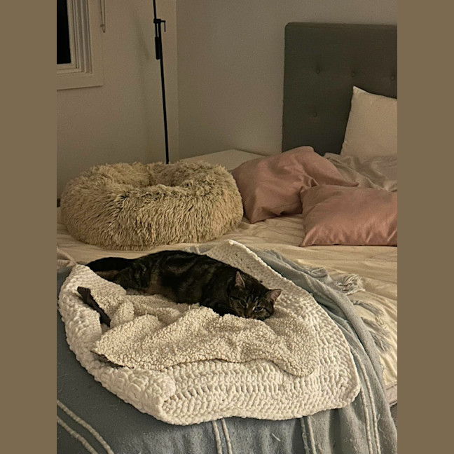 Photo of Sadie