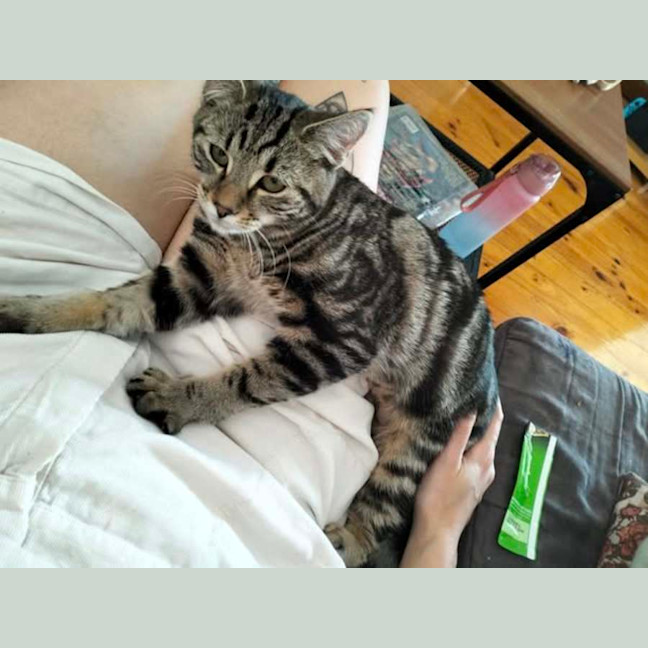 Photo of Pepper