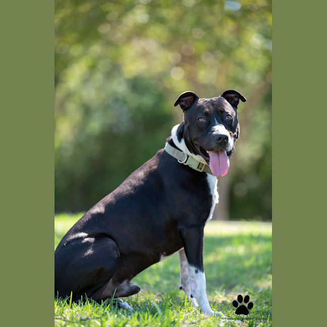 Photo of Tyson