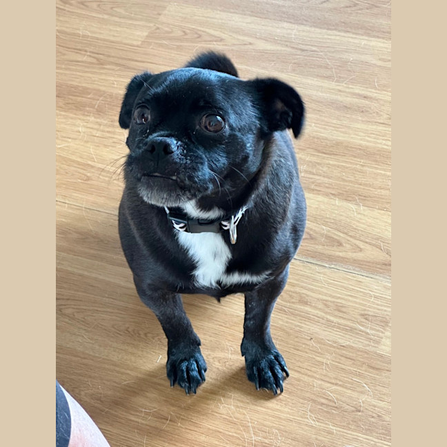 Photo of Christopher 