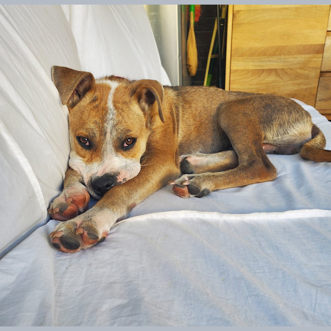 Photo of Biffy