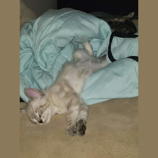 Photo of Marble