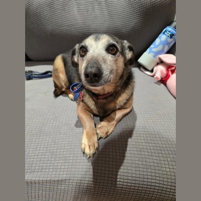 Photo of Barney Lozano