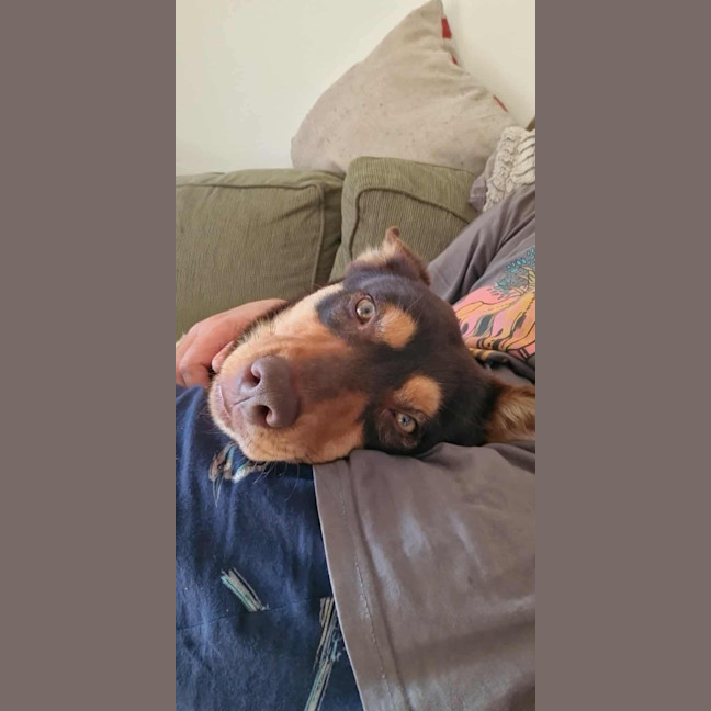 Photo of Arthur 