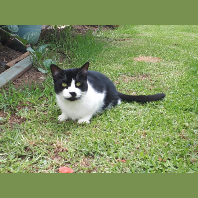 Photo of Cattie And Rosie 