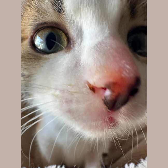 Photo of Little Leah