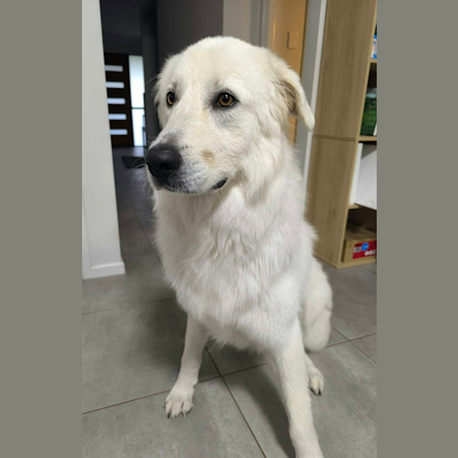 Photo of Zeus