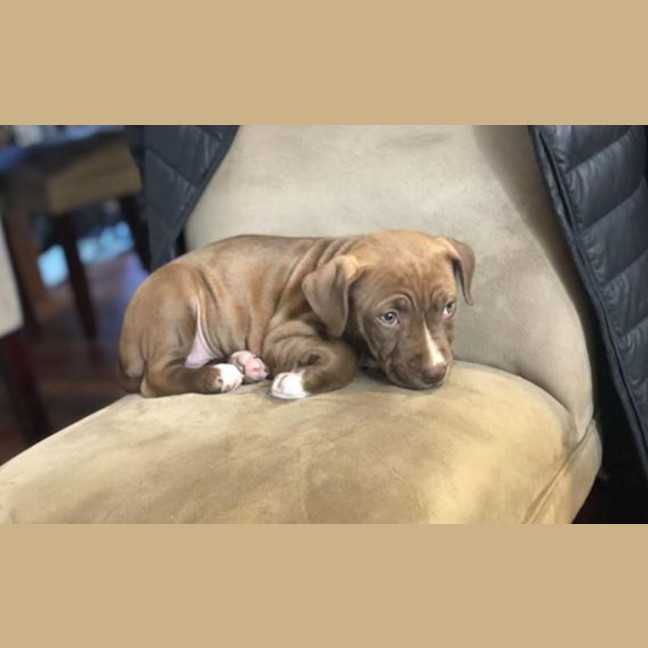 Photo of Molly