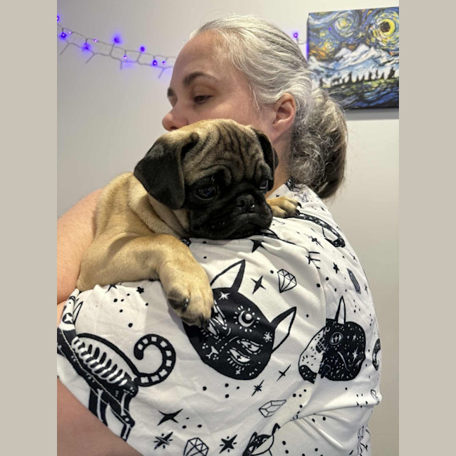 Photo of Rocco 