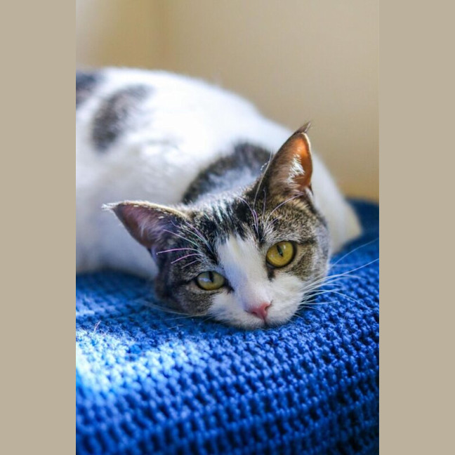Photo of Peaches