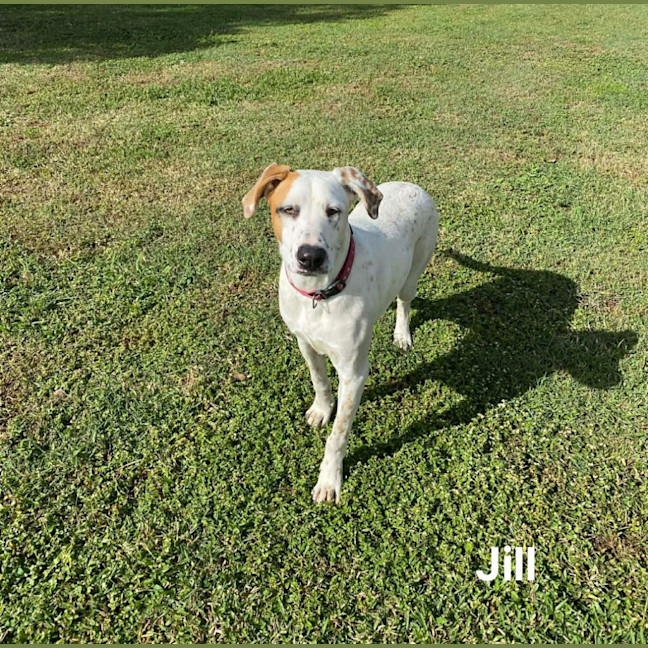 Photo of Jill