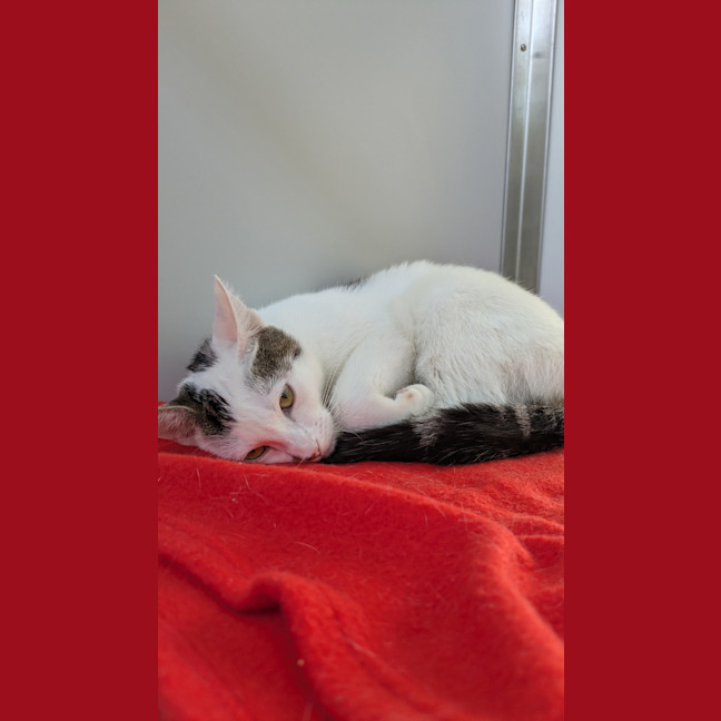 Photo of Tammy