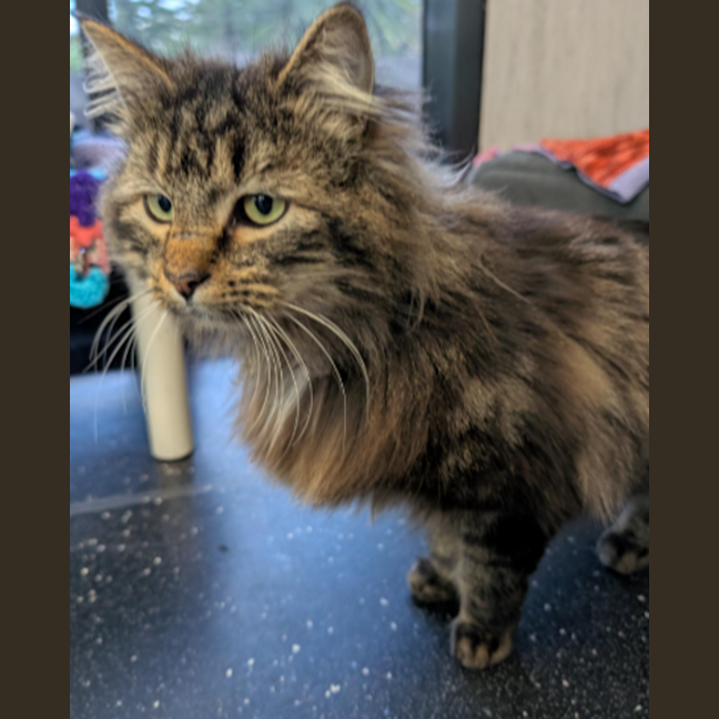 Photo of Cliff Richard