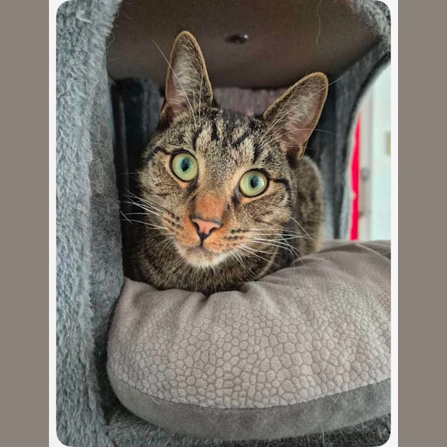 Photo of Benji 