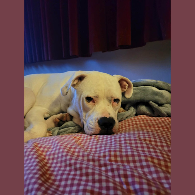 Photo of Lily