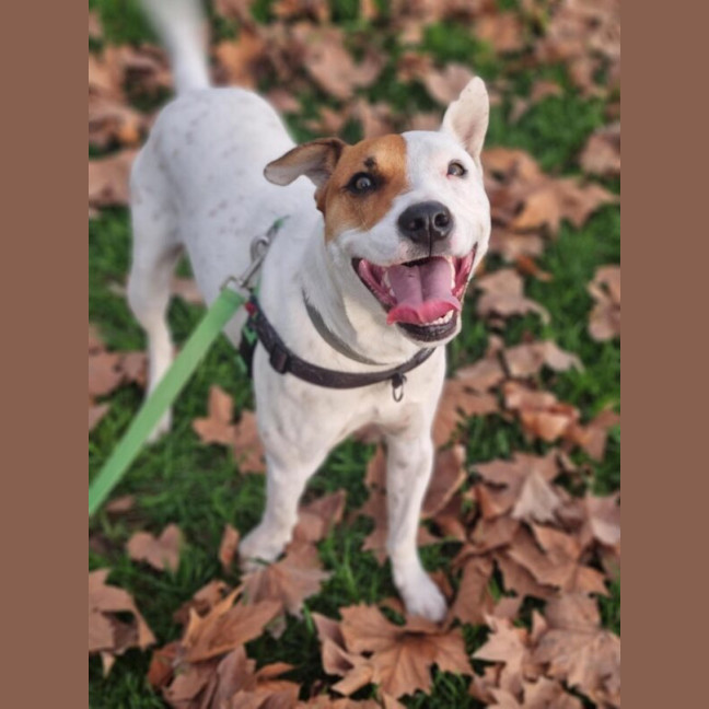 Photo of Remus