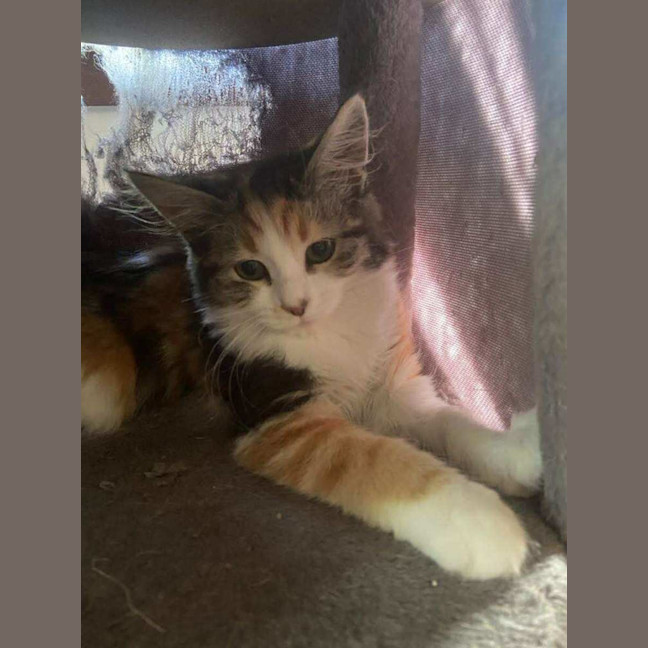 Photo of Elli 