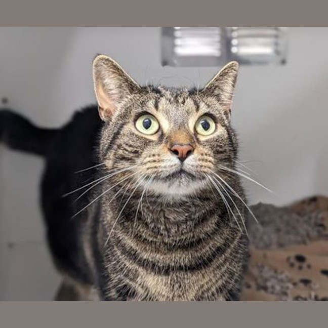 Photo of Mr Pickles