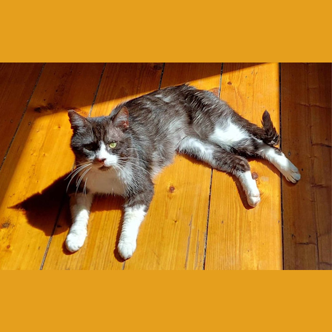 Photo of Mr Glen Cutiepie