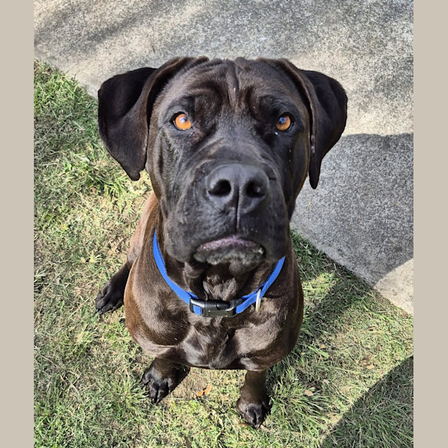 Photo of Athena