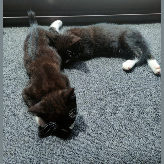 Photo of Luigi