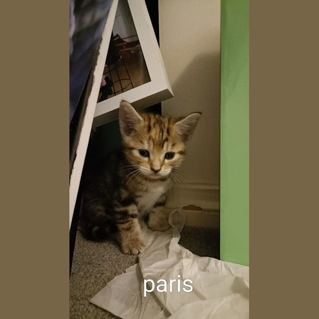 Photo of Paris