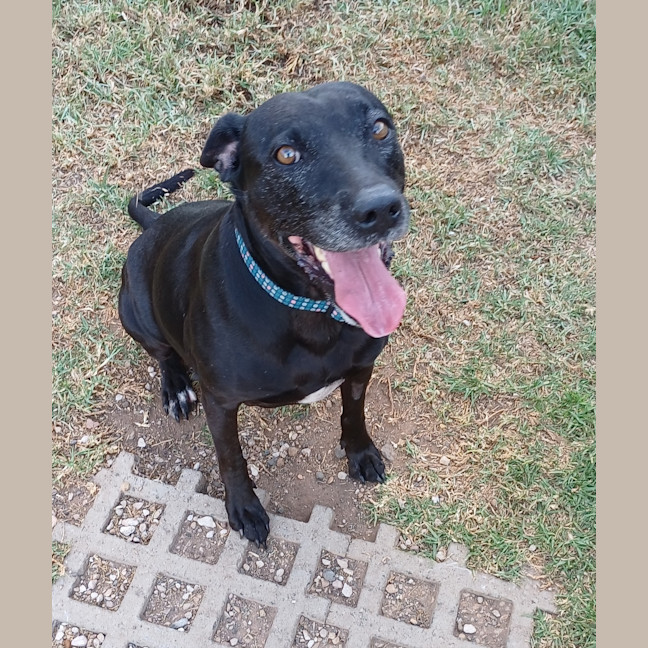 Photo of Ruby