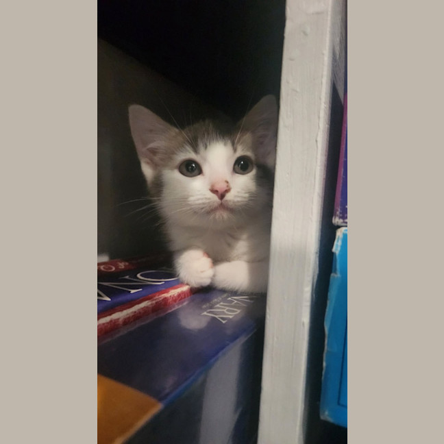 Photo of Rory