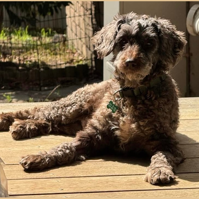 Photo of Hazel