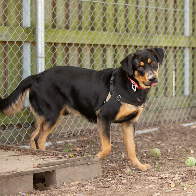 Photo of Diego