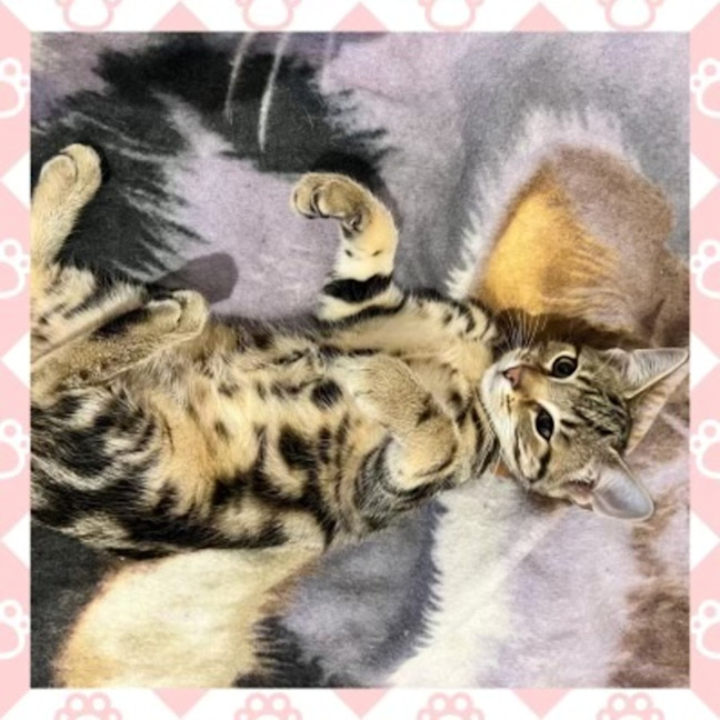 Photo of Bonnie