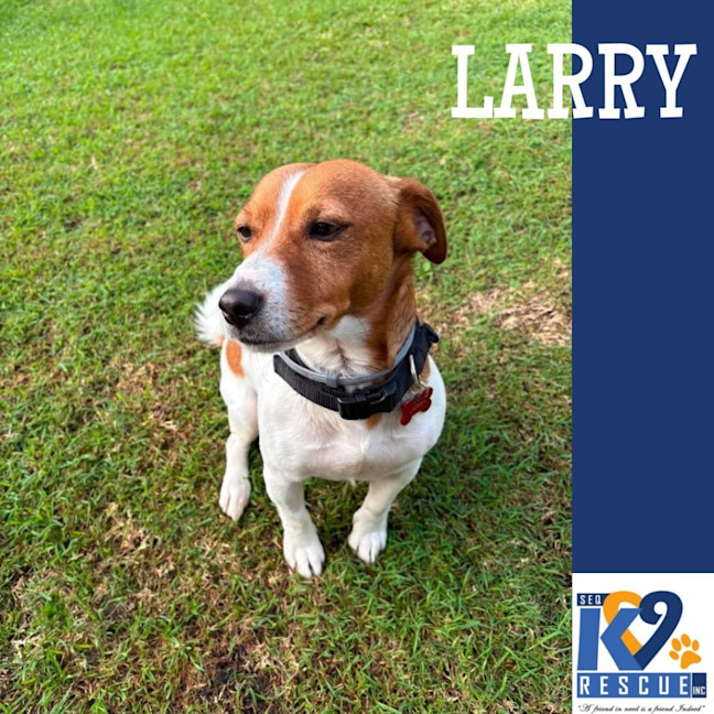 Photo of Larry