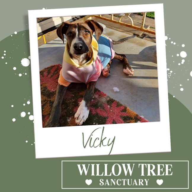 Photo of Vicky