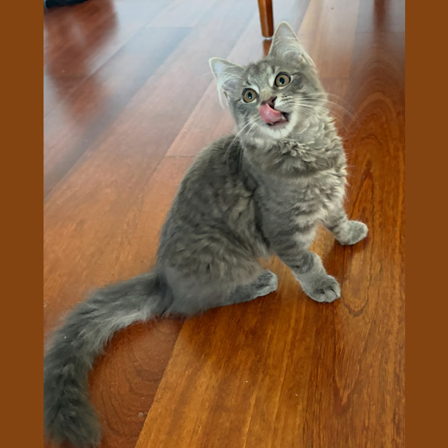 Photo of Londyn 😻💕💕😻