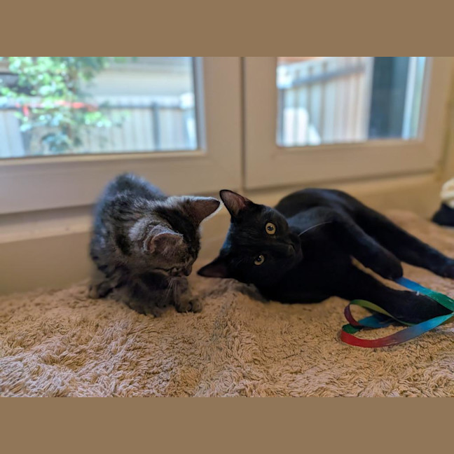 Photo of Hamish