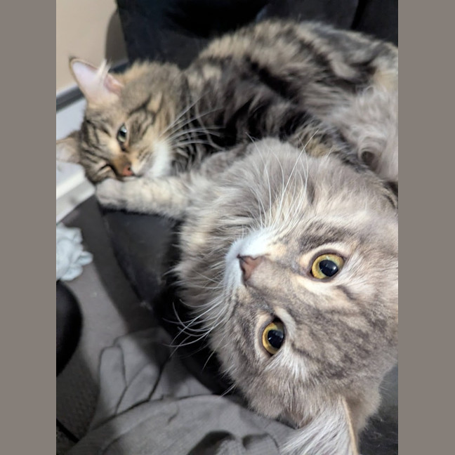 Photo of Wax & Wayne