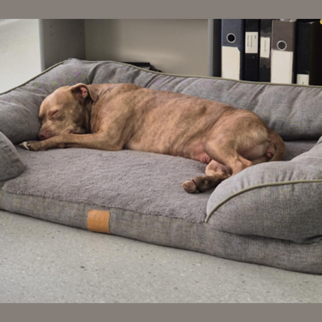 Photo of Meggie 💜