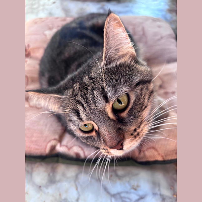 Photo of Hazel