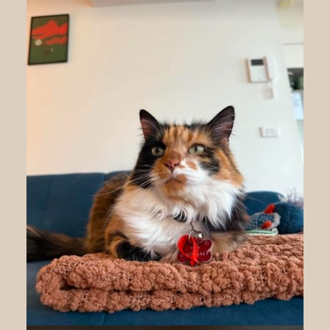 Photo of Jinx