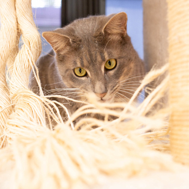 Photo of Max