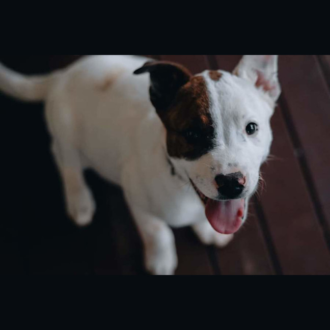 Photo of George