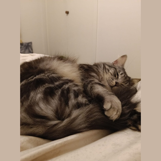 Photo of Gideon