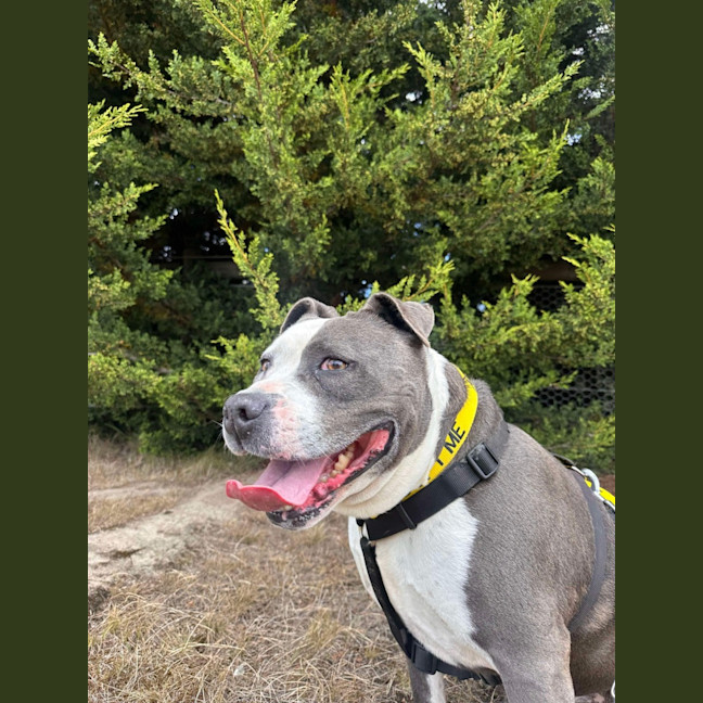 Photo of 🥊 Floyd 5607 🥊