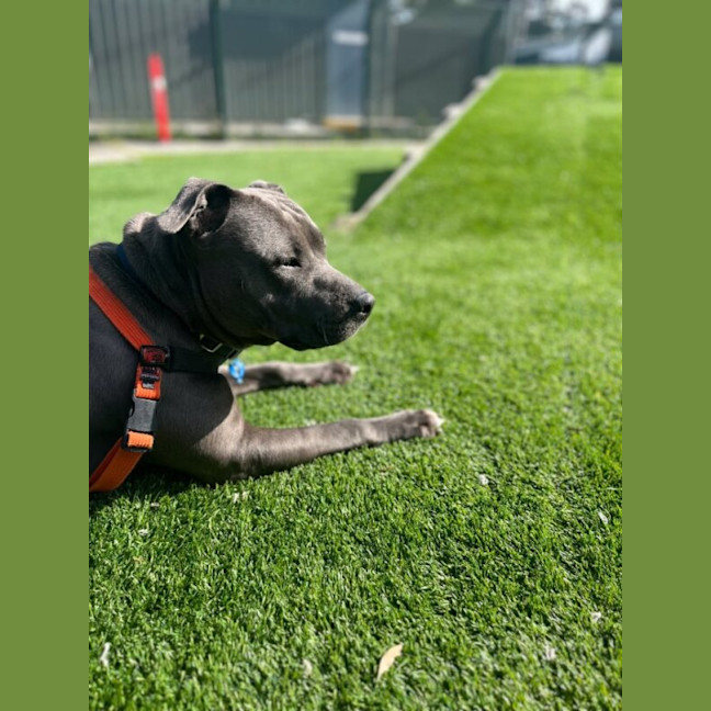 Photo of Lottie Nee Sky