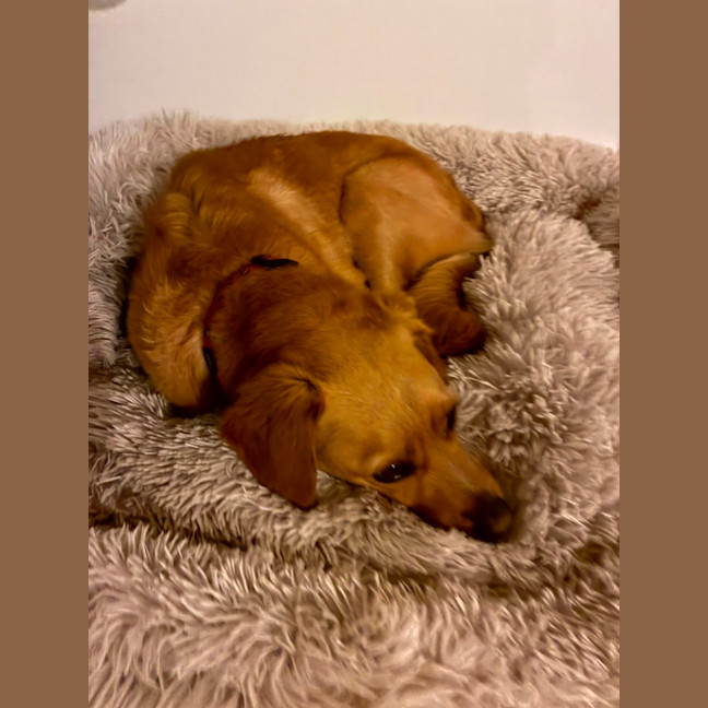Photo of Happy 