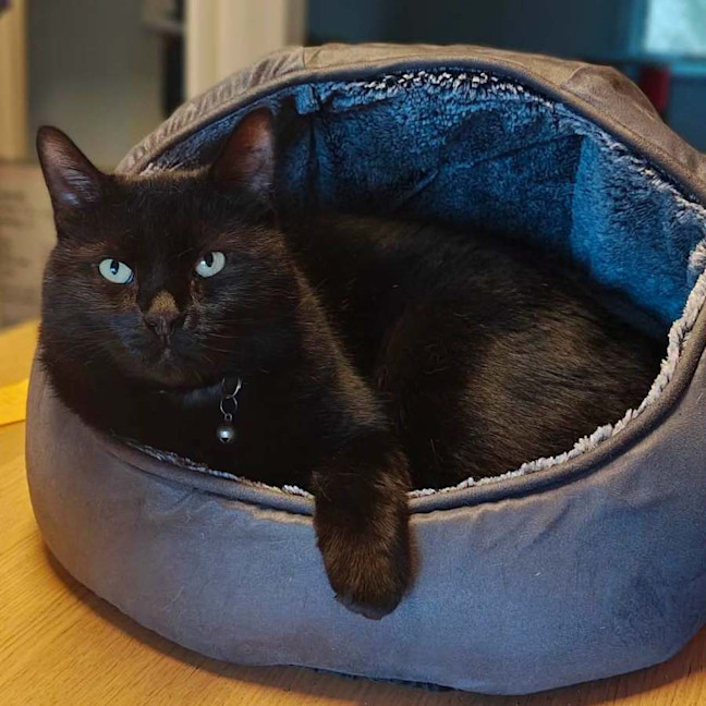 Photo of 14020   Vader