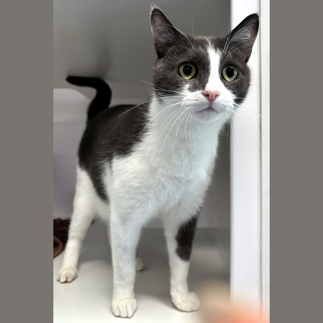 Photo of Truffles Rsua005982