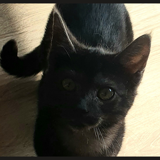 Photo of Elijah