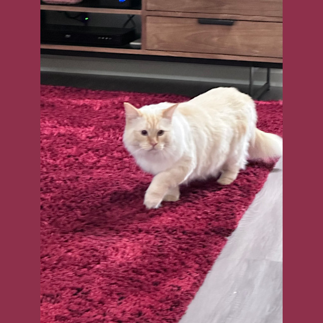 Photo of Cloudi And Zani